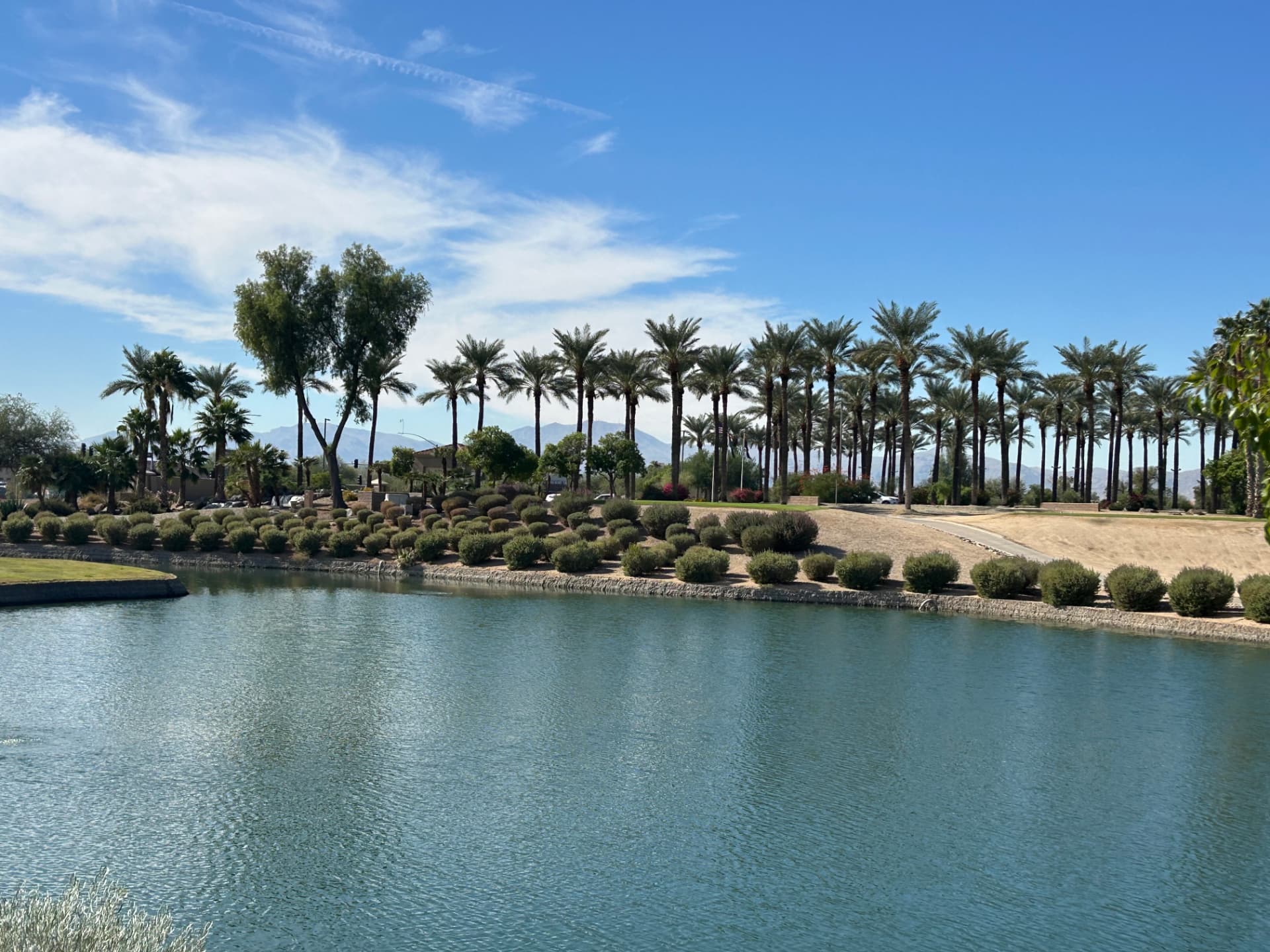 Lakefront view with palm trees and mountains at Sun City Grand in Surprise, Arizona
